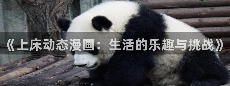 羞羞漫画瑞丽网：《上床动态漫画：生活的乐趣与挑战》