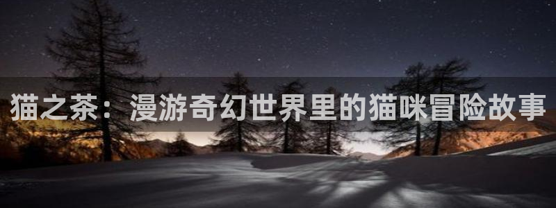 羞羞漫画_专为成年人的漫画_羞羞漫画：猫之茶：漫游奇幻世界里的猫咪冒险故事